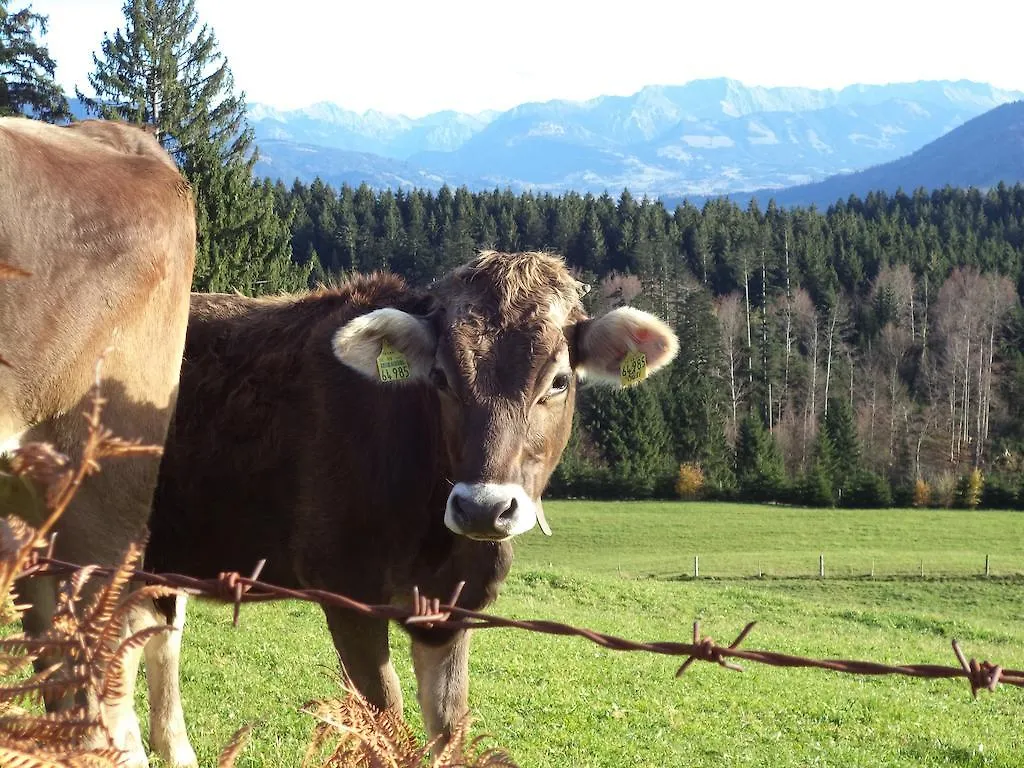 Ferienwohnung Ritter Missen-Wilhams 0*,